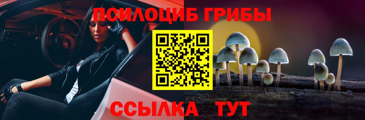 Чехов  купить   Псилоцибиновые грибы Psilocybe  Вход с VPN  Галлюциногенные грибы Cubensis 