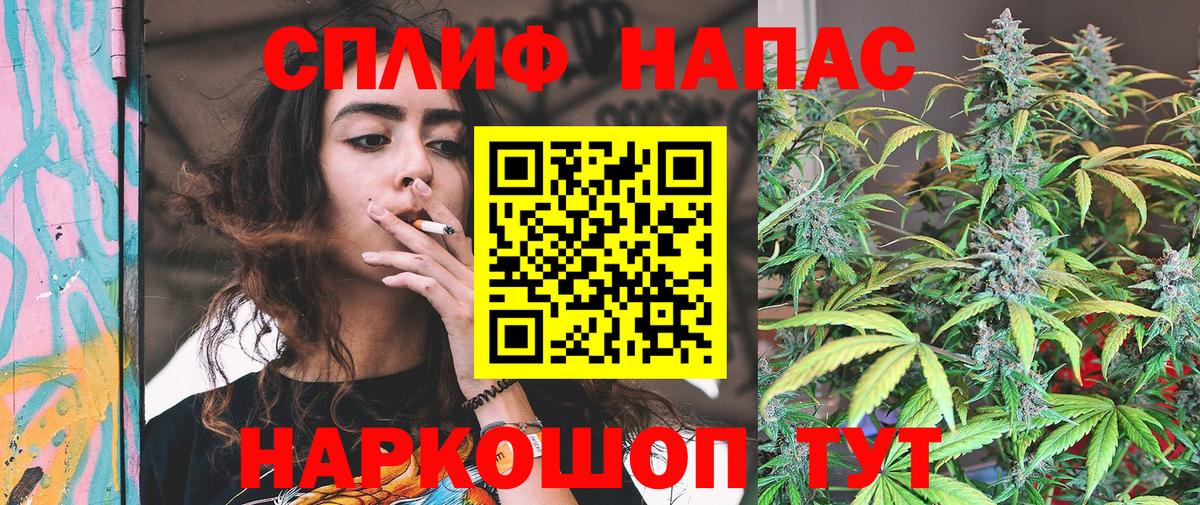Бошки марихуана гибрид Чехов